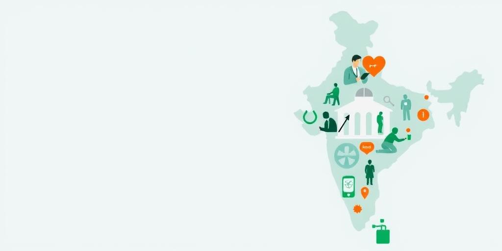 The Influence of International Aid on Indian Health Outcomes (2025)